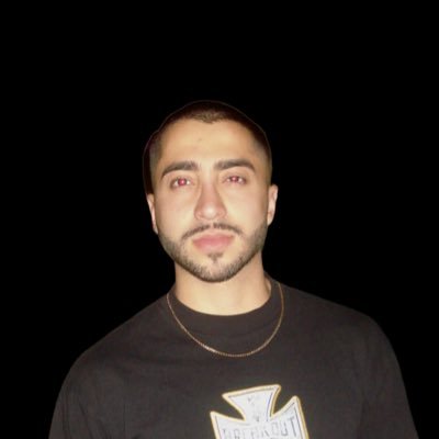 Ali Ansari